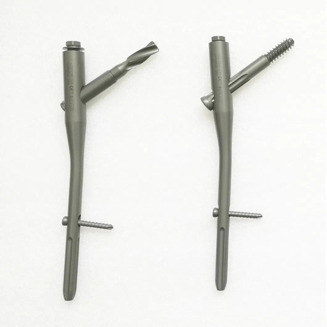 Orthopedic Pfna Intramedullary Nail Implants, Femoral Interlocking Nail, Femoral Fixation Orthopedic Nails