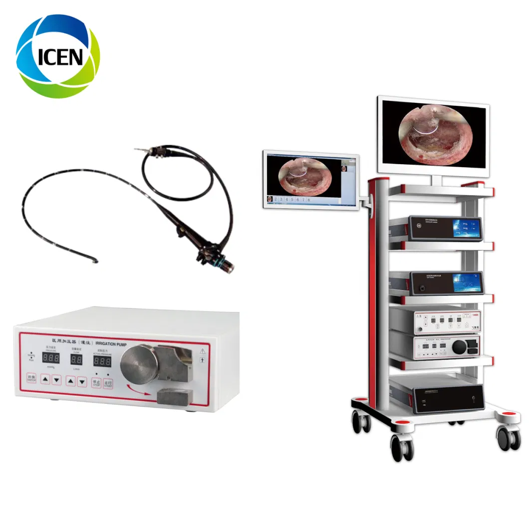 in-P007 China Portable Medical Rigid Endoscope Video Colonoscope Gastroscope System